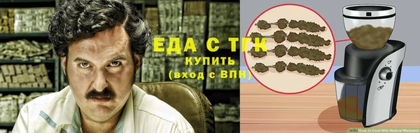 хмурый Сосновый Бор