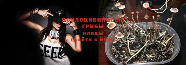 ГАЛЛЮЦИНОГЕННЫЕ ГРИБЫ Бугульма