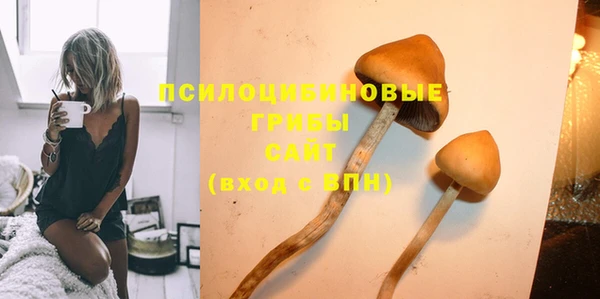 хмурый Сосновый Бор