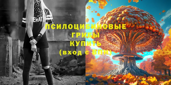 мет Сосновоборск