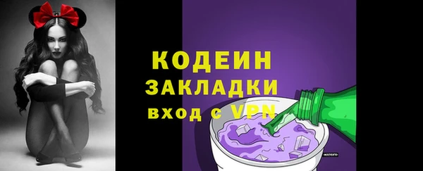 хмурый Сосновый Бор