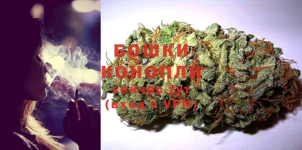 хмурый Сосновый Бор