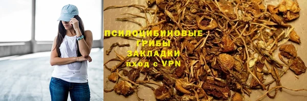 хмурый Сосновый Бор